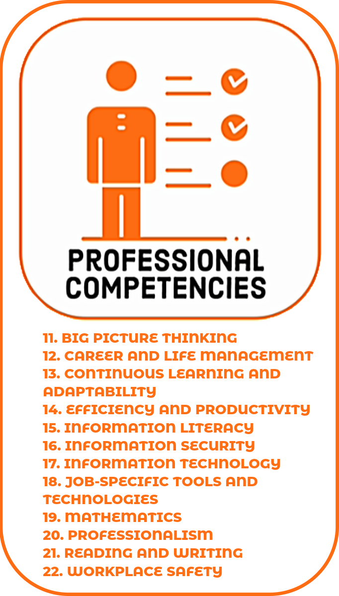 Professional Competencies section icon and a list of its 12 standards