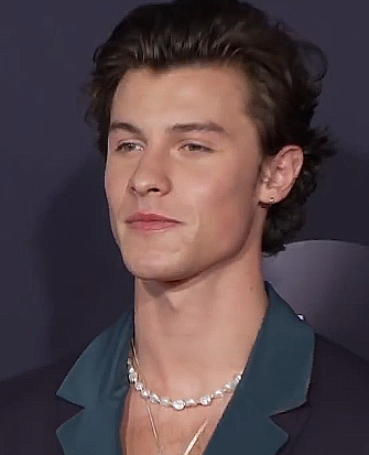 Shawn Mendes, singer-songwriter 