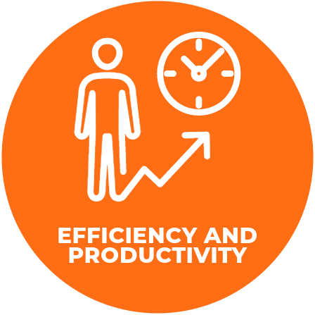 Efficiency and Productivity Skills